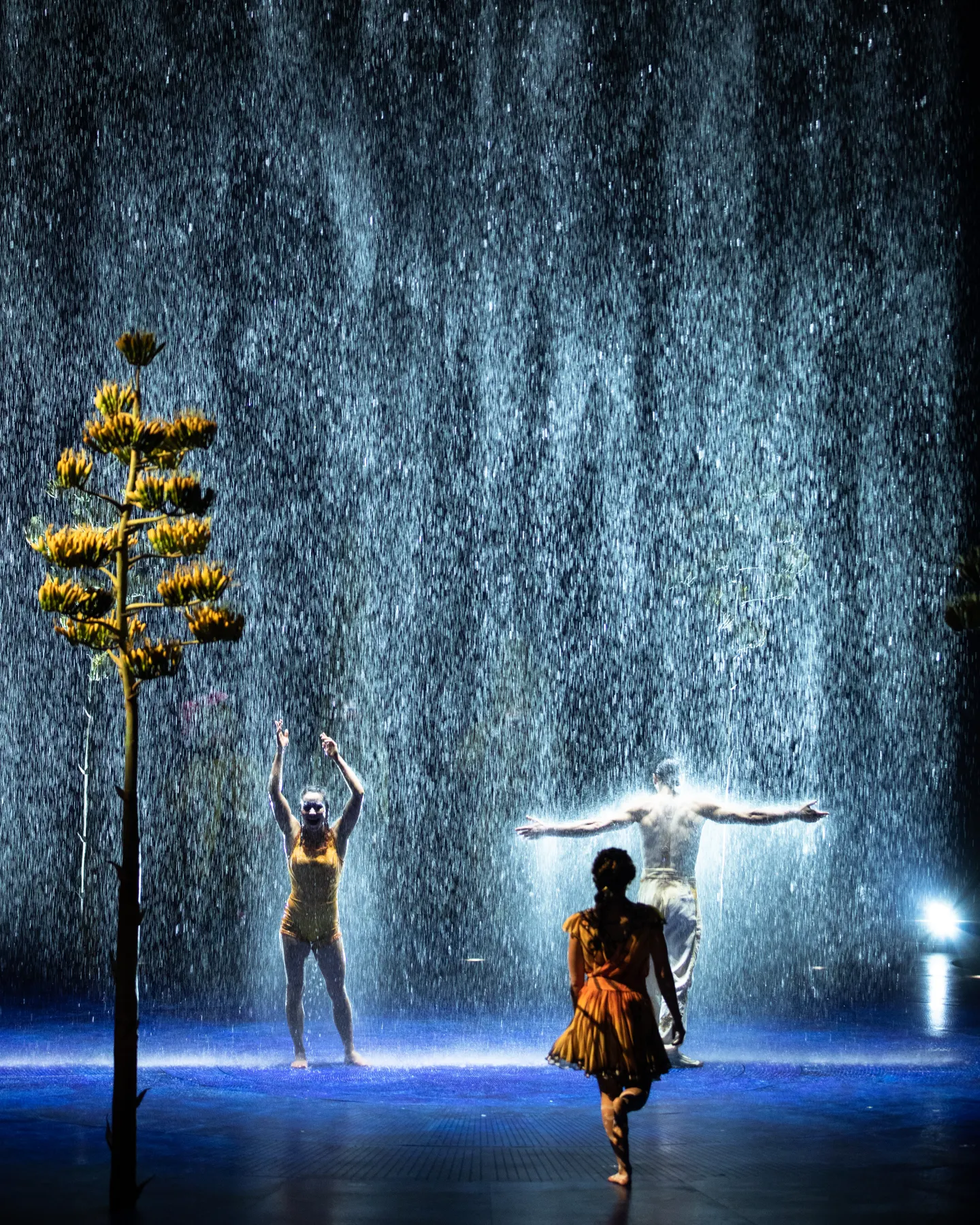 Cirque du Soleil LUZIA performance