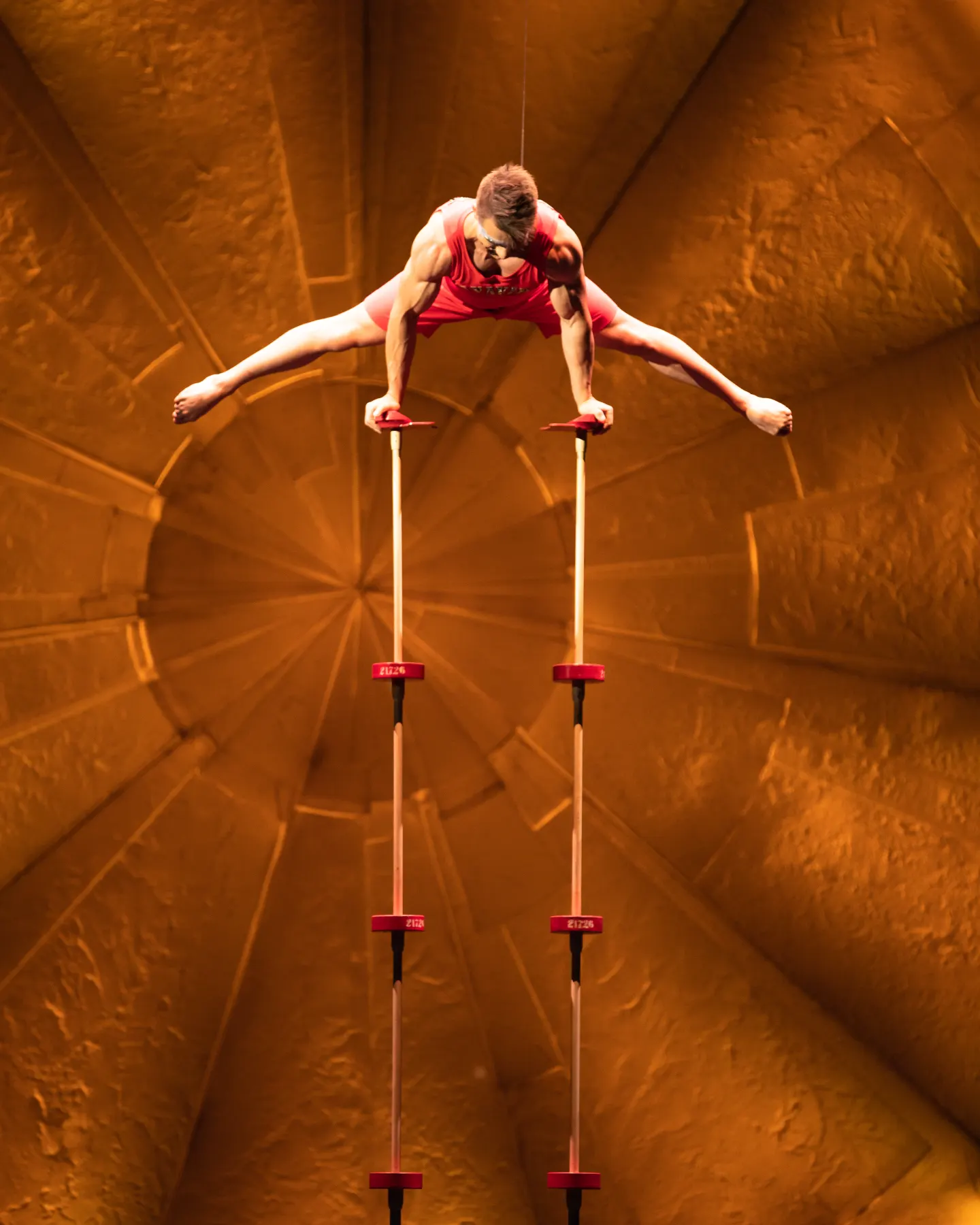 Cirque du Soleil LUZIA performance